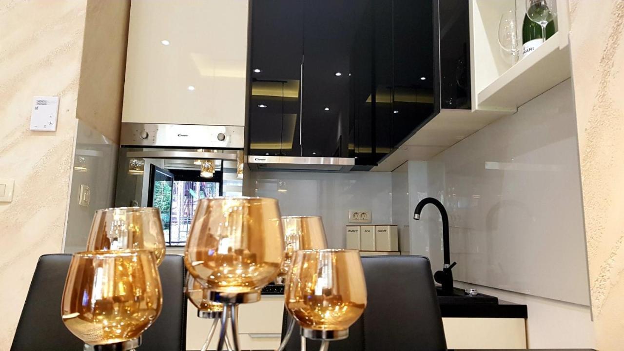 Apartment Lux Apartman S14 - Vila Pekovic