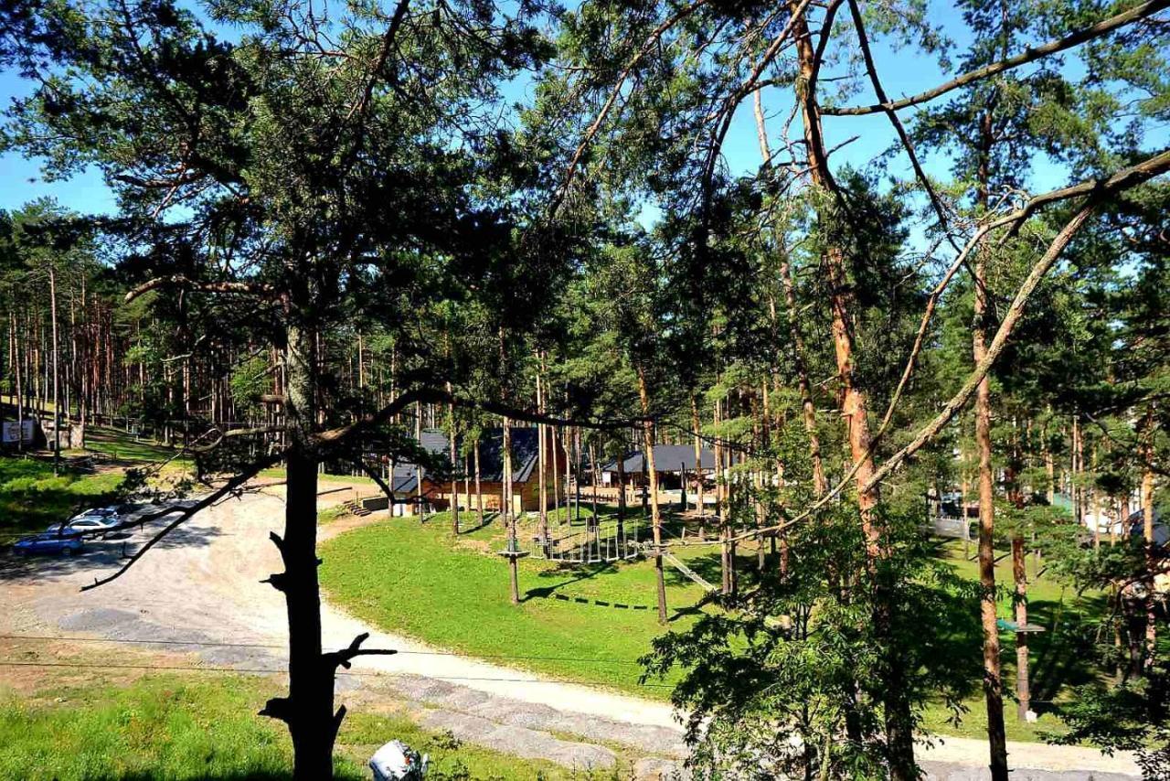 Apartment Lux Apartman S14 - Vila Pekovic Zlatibor